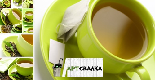 Чашечка зеленого чая фото | A Cup of green tea photo